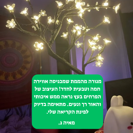 מנורת עץ פריחת הדובדבן מבית סוליביה - ™FlowerLamp